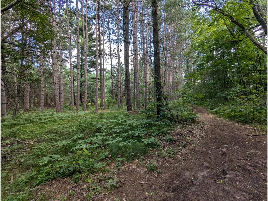 Lot 5 Fosmo Webster WI 54893 - Big Sand Lake 7041613 image5