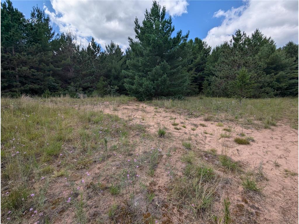 Lot 5 Fosmo Webster WI 54893 - Big Sand Lake 7041613 image6