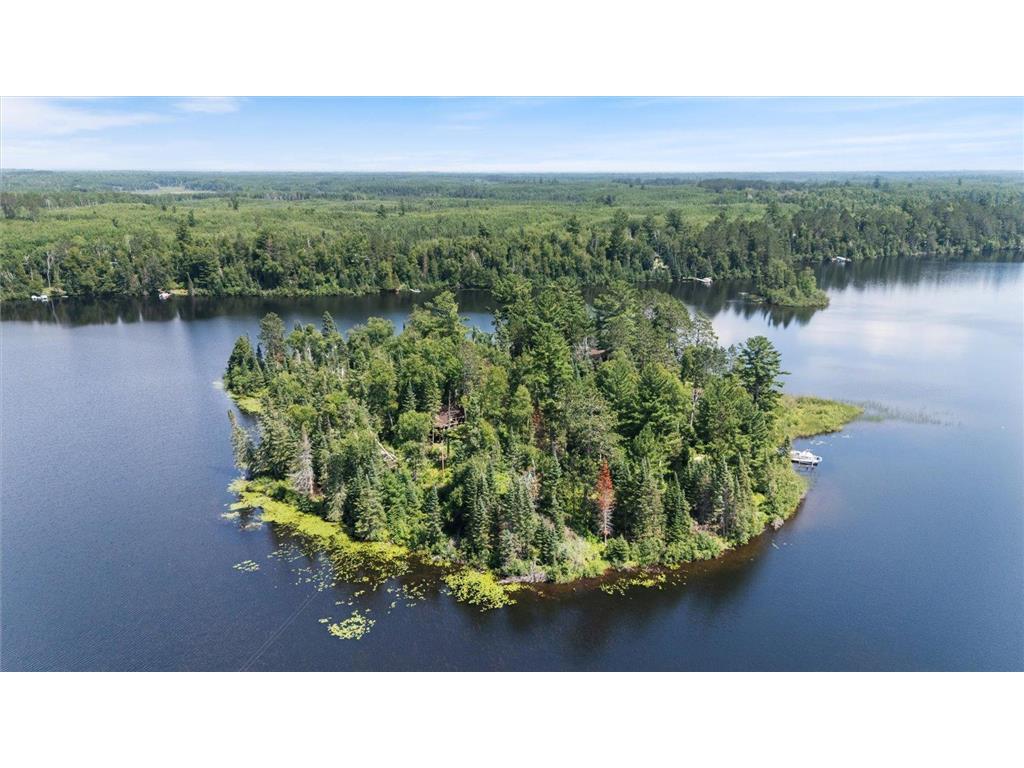 52000 Antler Lake Island Dr Bigfork MN 56628 - ANTLER 6758299 image4