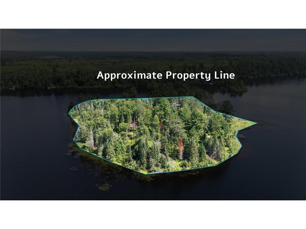 52000 Antler Lake Island Dr Bigfork MN 56628 - ANTLER 6758299 image66