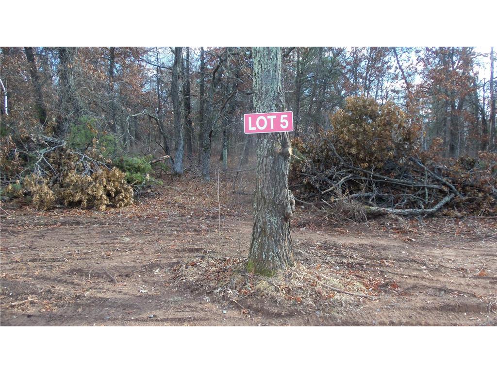 Lot 5 Riverview Trl Grantsburg WI 54840 - Trade River 6461637 image1