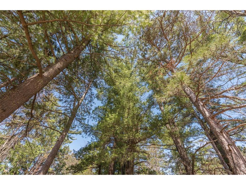 Lot 5 Telemark Trail Cushing MN 56443 6400005 image1