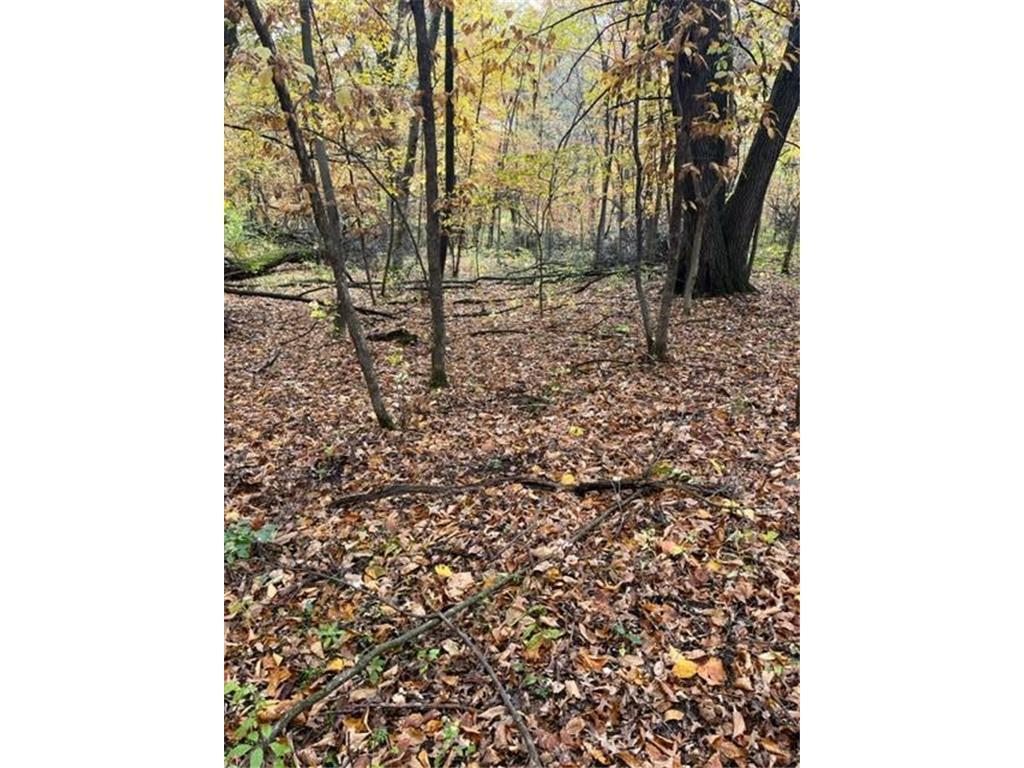 Lot 5 Tiger Street NW Zimmerman MN 55398 - Blue 7016758 image14