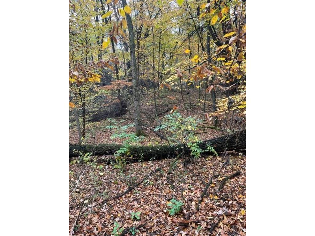 Lot 5 Tiger Street NW Zimmerman MN 55398 - Blue 7016758 image16