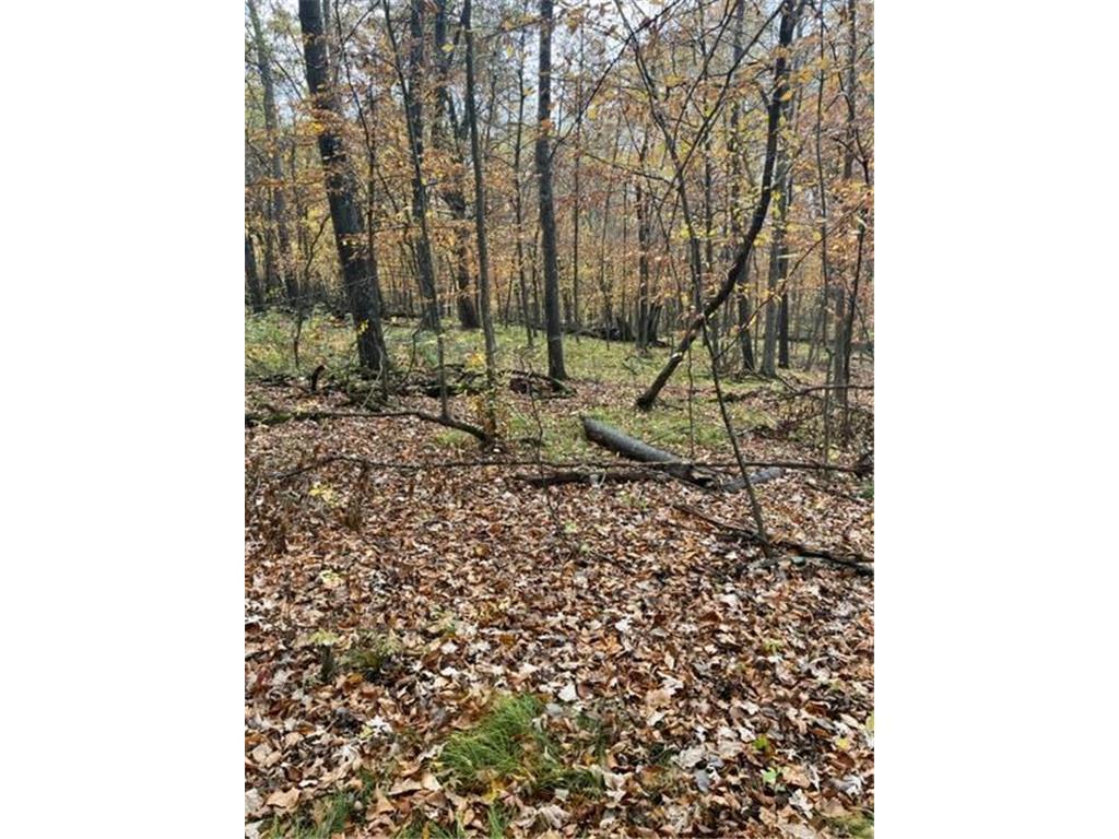 Lot 5 Tiger Street NW Zimmerman MN 55398 - Blue 7016758 image18