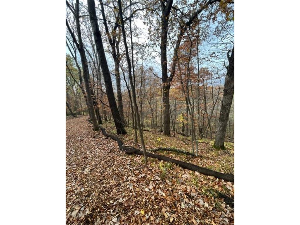 Lot 5 Tiger Street NW Zimmerman MN 55398 - Blue 7016758 image20