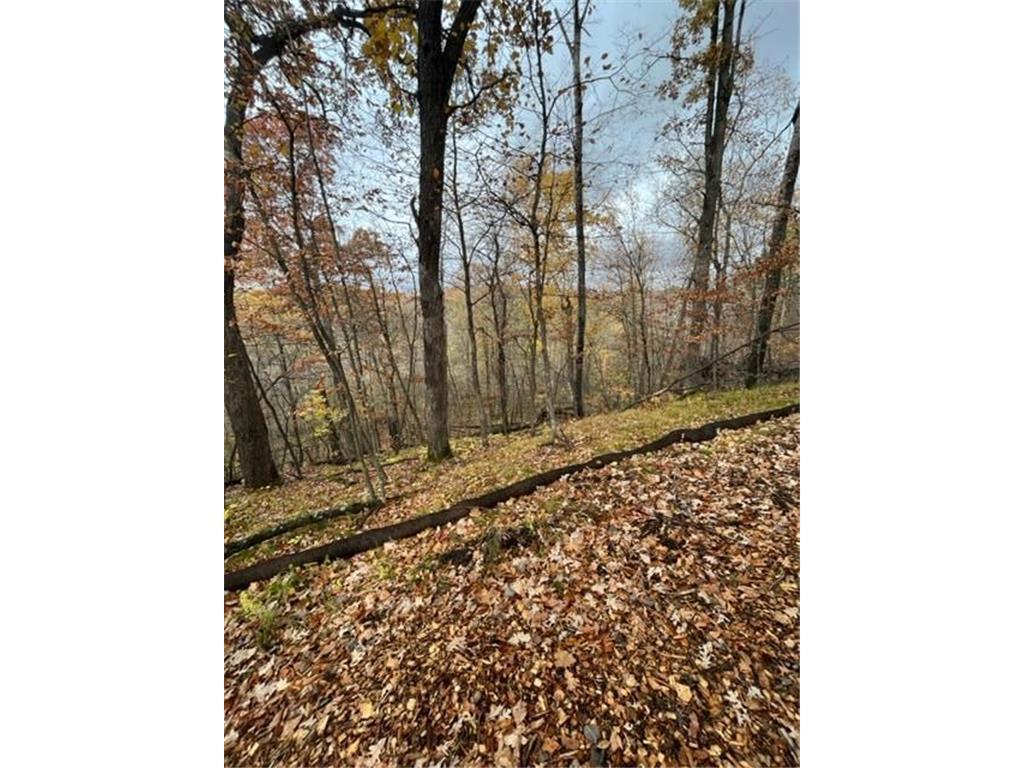 Lot 5 Tiger Street NW Zimmerman MN 55398 - Blue 7016758 image22