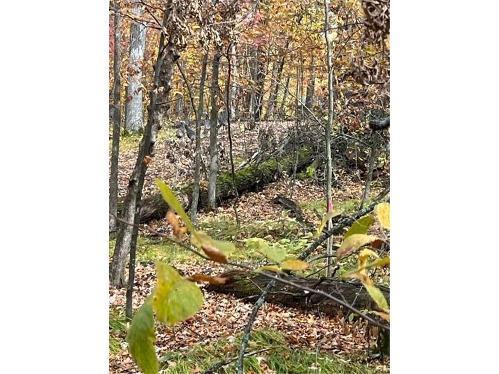 Lot 5 Tiger Street NW Zimmerman MN 55398 - Blue 7016758 image24