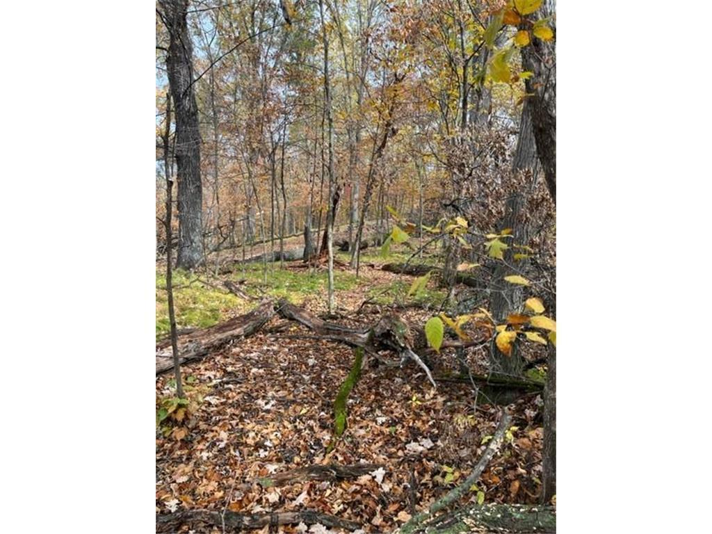 Lot 5 Tiger Street NW Zimmerman MN 55398 - Blue 7016758 image25