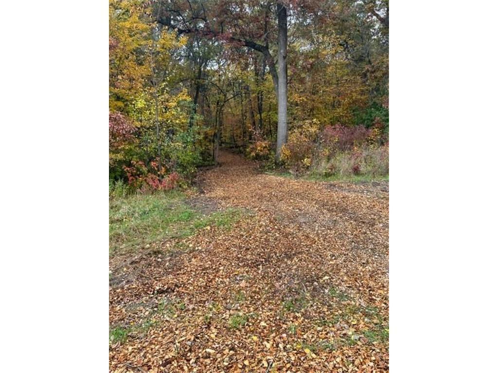 Lot 5 Tiger Street NW Zimmerman MN 55398 - Blue 7016758 image5