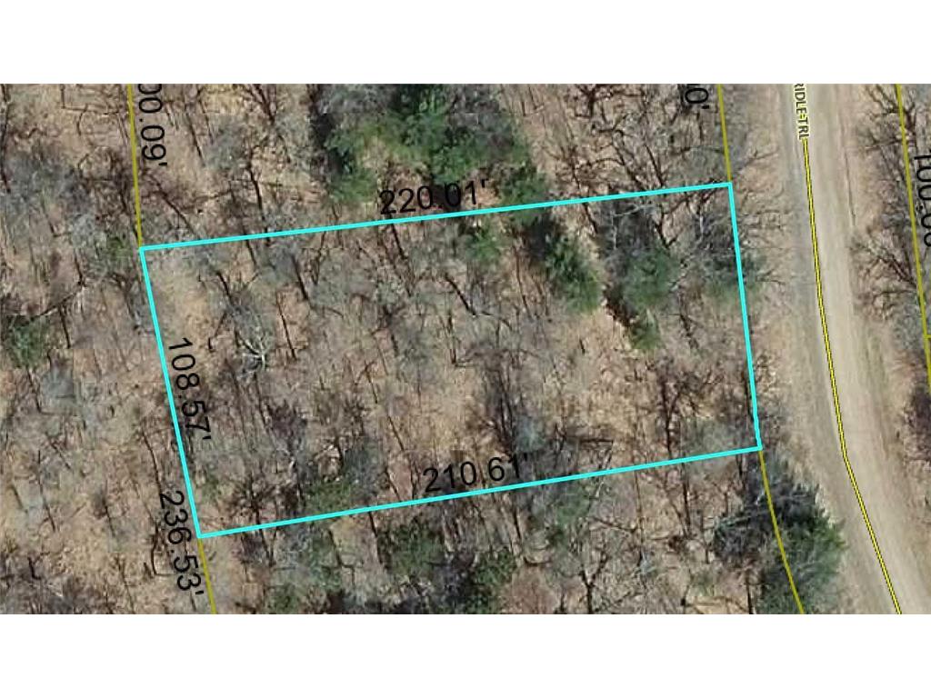 Lot 59 Bridle Trail Danbury WI 54830 6737442 image1