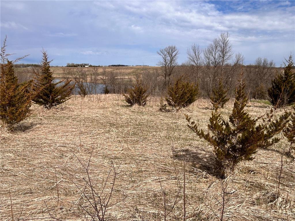 Lot 6 215th Street Barrett MN 56311 - Barrett 7065477 image1