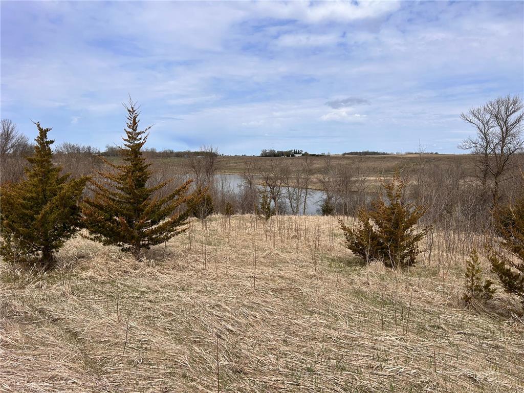 Lot 6 215th Street Barrett MN 56311 - Barrett 7065477 image4