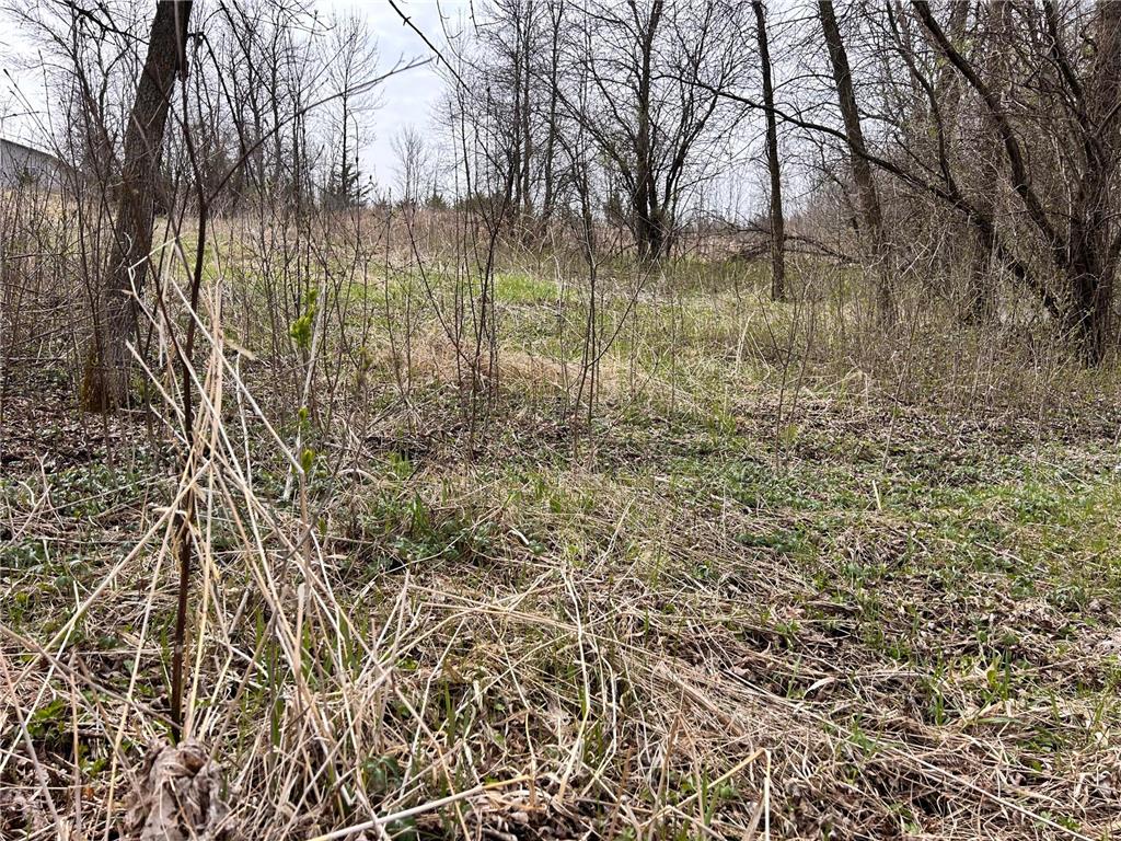 Lot 6 215th Street Barrett MN 56311 - Barrett 7065477 image5