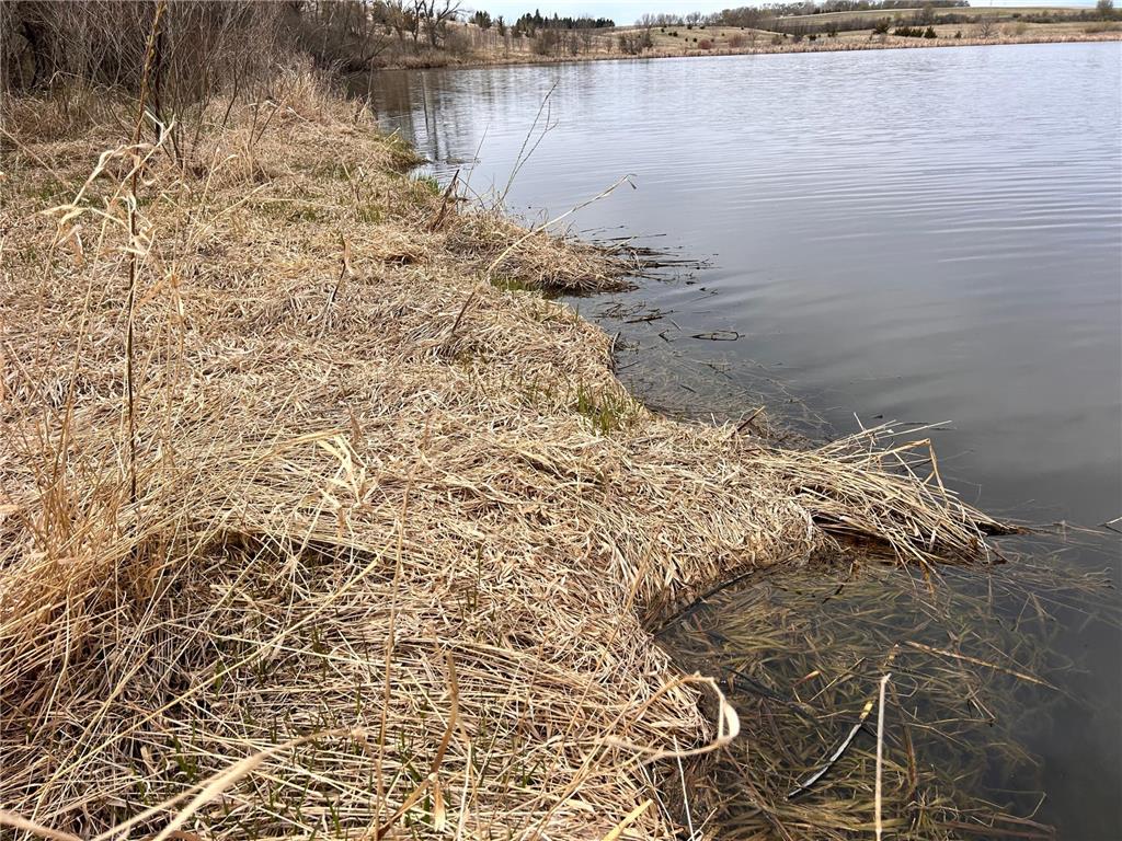Lot 6 215th Street Barrett MN 56311 - Barrett 7065477 image6