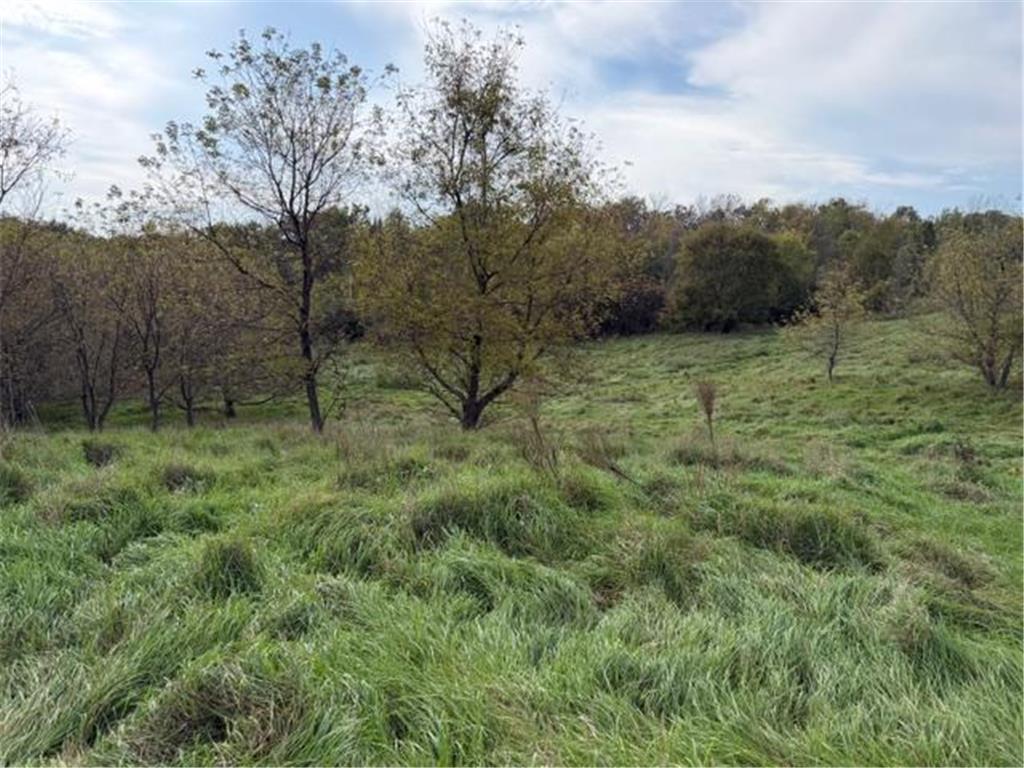 Lot 6 220th ave Star Prairie WI 54017 6797673 image3