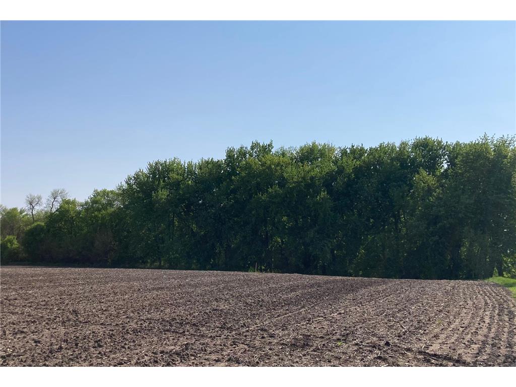 Lot 6&7 McKinney Dr Christiania Twp MN 56101 6535675 image1