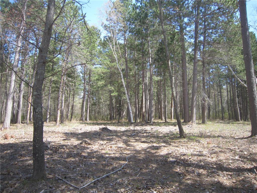 Lot 6 Pike Bay Loop NW Cass Lake MN 56633 7078376 image6