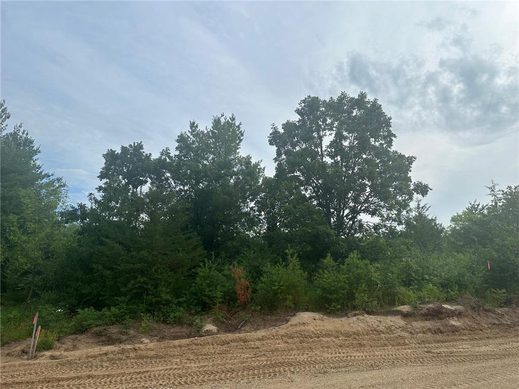 Lot 6 Blk 1 Brummer Drive Randall MN 56475 6593753 image1