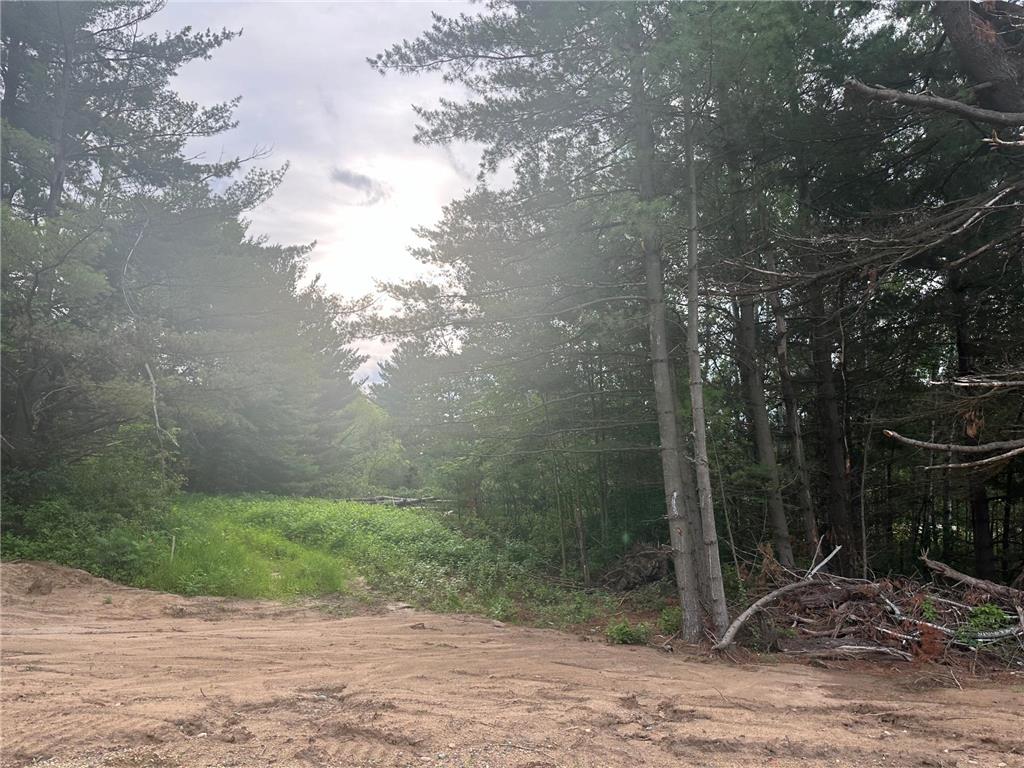 Lot 6 Blk 2 Ridgewood Drive Randall MN 56475 6593796 image1
