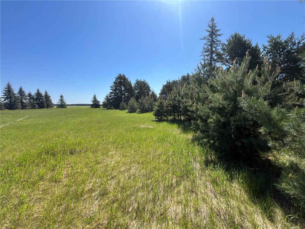 Lot 6 Block 1 40th Ave Brainerd MN 56401 7080919 image8
