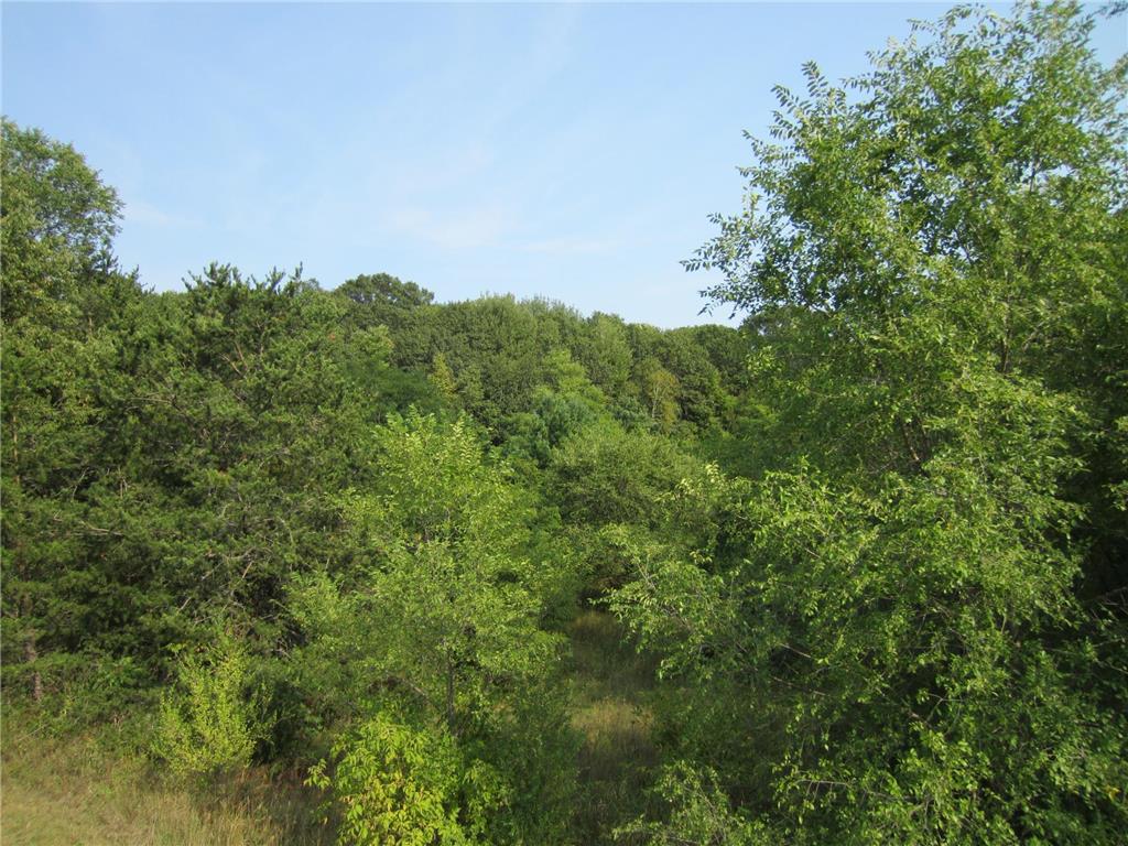 Lot 6 Block 1 Kettle River Boulevard NE Columbus MN 55025 6698631 image10