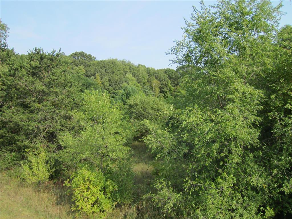 Lot 6 Block 1 Kettle River Boulevard NE Columbus MN 55025 6698631 image11