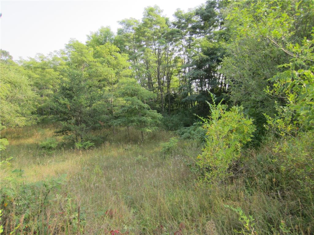 Lot 6 Block 1 Kettle River Boulevard NE Columbus MN 55025 6698631 image12