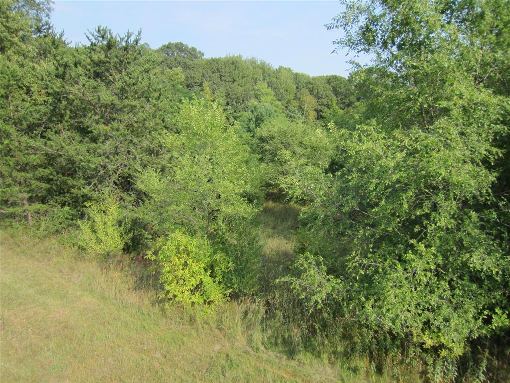 Lot 6 Block 1 Kettle River Boulevard NE Columbus MN 55025 6698631 image2