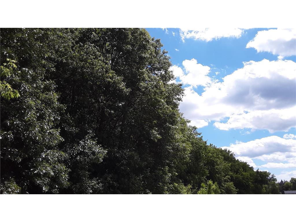 Lot 6 Block 1 Kettle River Boulevard NE Columbus MN 55025 6698631 image3