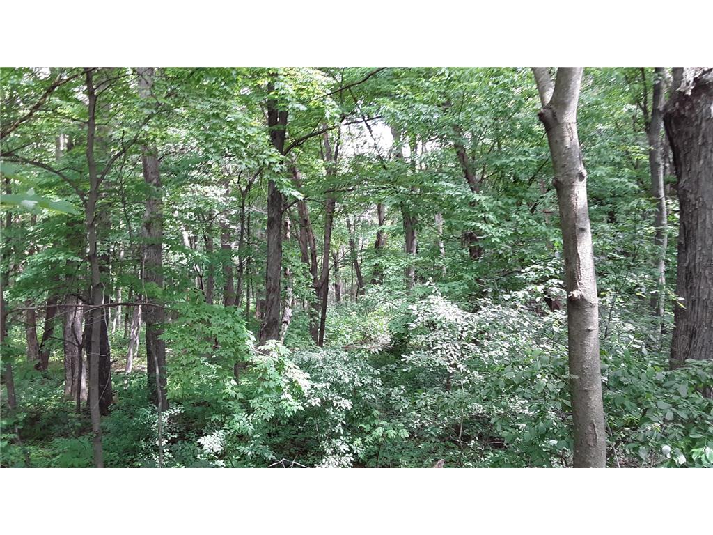 Lot 6 Block 1 Kettle River Boulevard NE Columbus MN 55025 6698631 image4