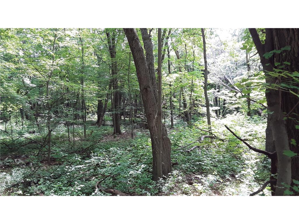 Lot 6 Block 1 Kettle River Boulevard NE Columbus MN 55025 6698631 image5