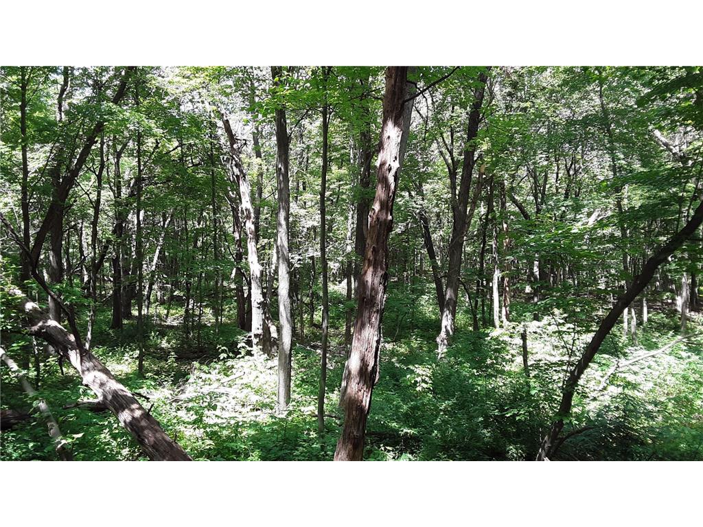 Lot 6 Block 1 Kettle River Boulevard NE Columbus MN 55025 6698631 image6