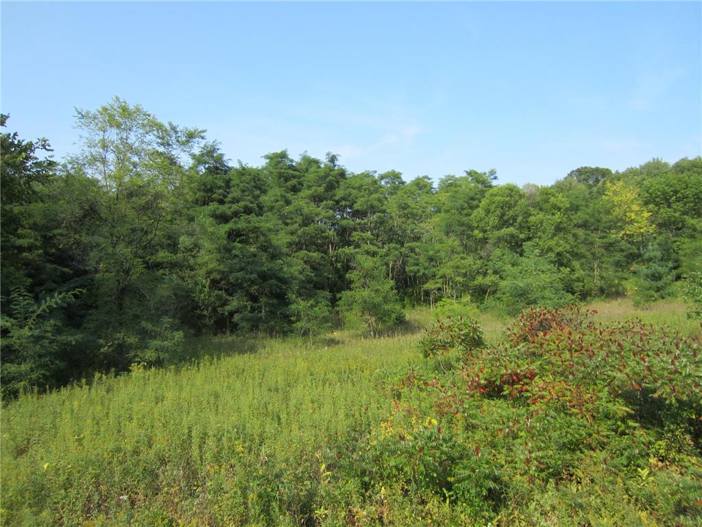 Lot 6 Block 1 Kettle River Boulevard NE Columbus MN 55025 6698631 image8