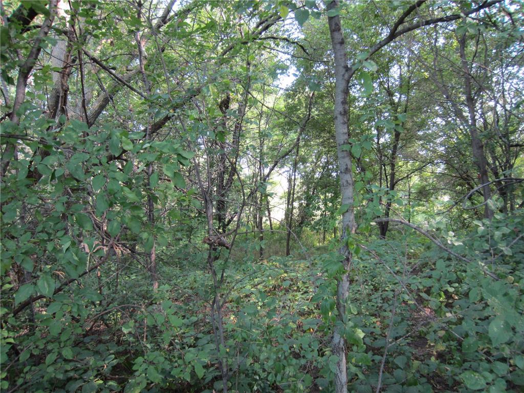 Lot 6 Block 1 Kettle River Boulevard NE Columbus MN 55025 6698631 image9