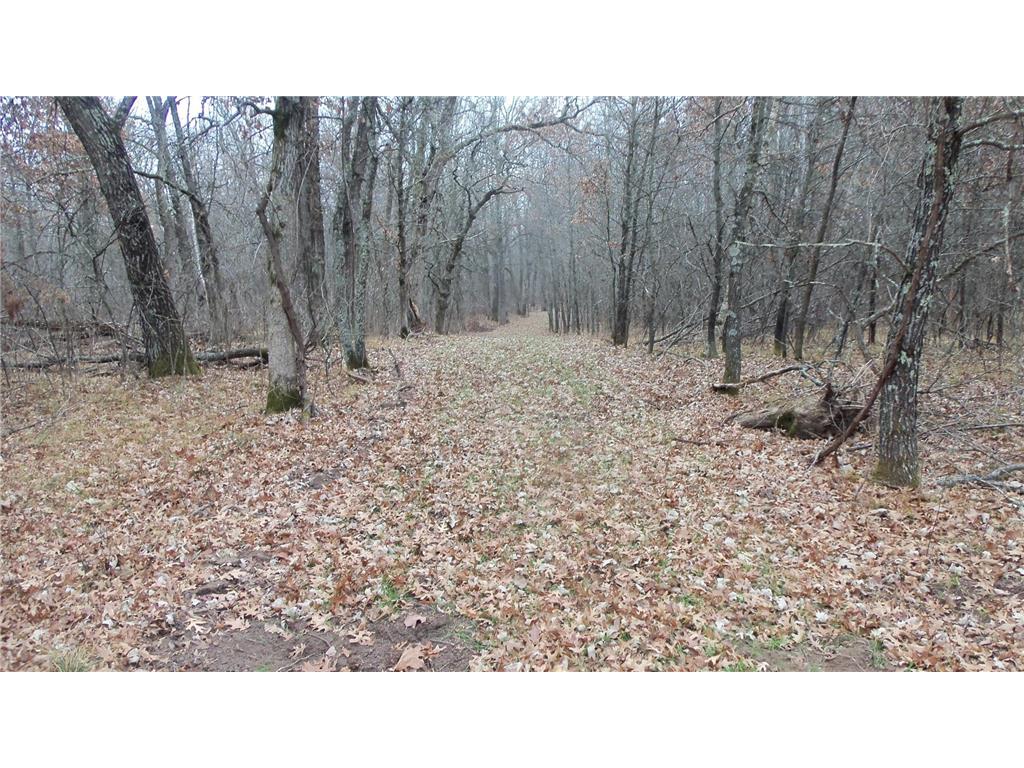 Lot 6 Canute Creek Trl Anderson Twp WI 54840 7006772 image3