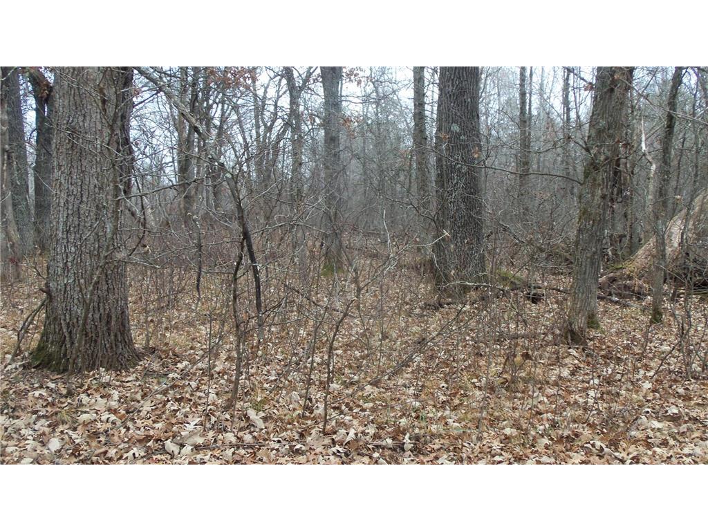 Lot 6 Canute Creek Trl Anderson Twp WI 54840 7006772 image4