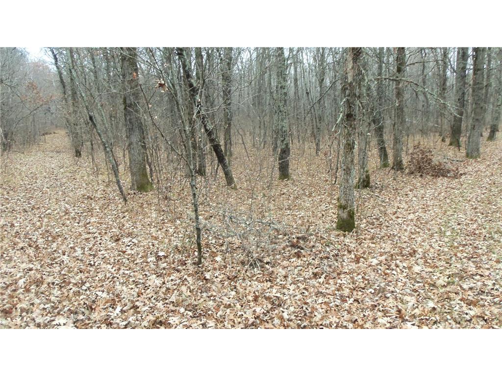 Lot 6 Canute Creek Trl Anderson Twp WI 54840 7006772 image5