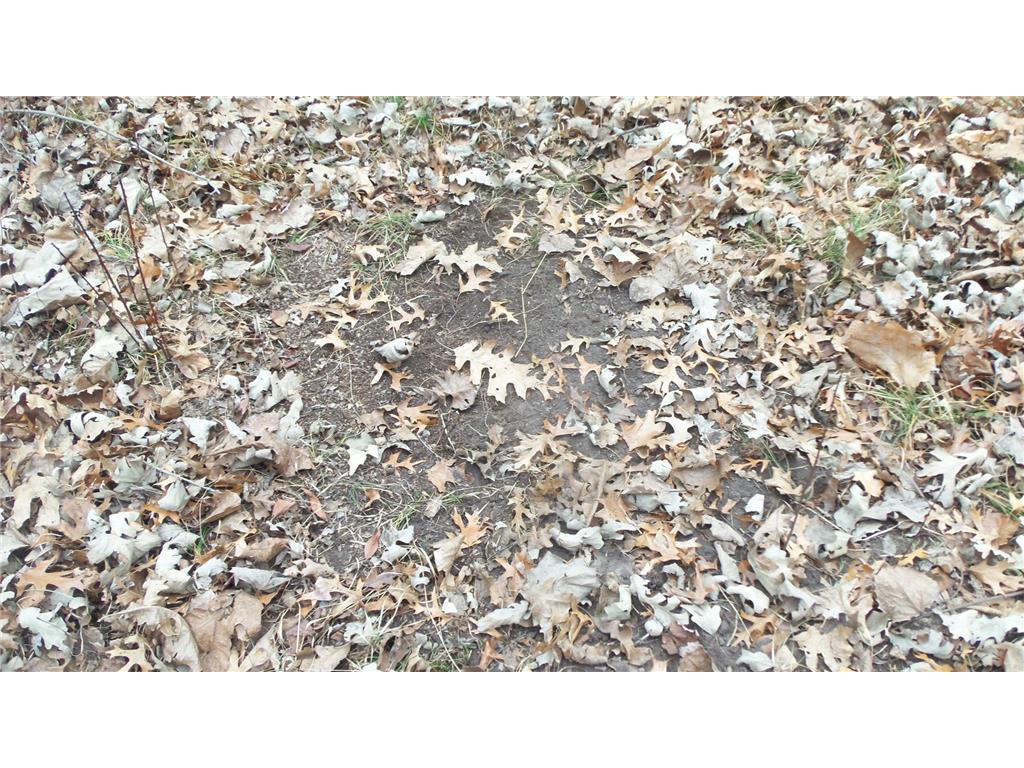 Lot 6 Canute Creek Trl Anderson Twp WI 54840 7006772 image6