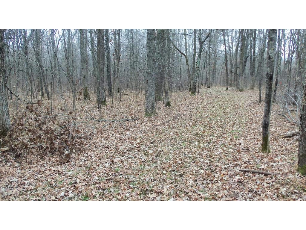 Lot 6 Canute Creek Trl Anderson Twp WI 54840 7006772 image9