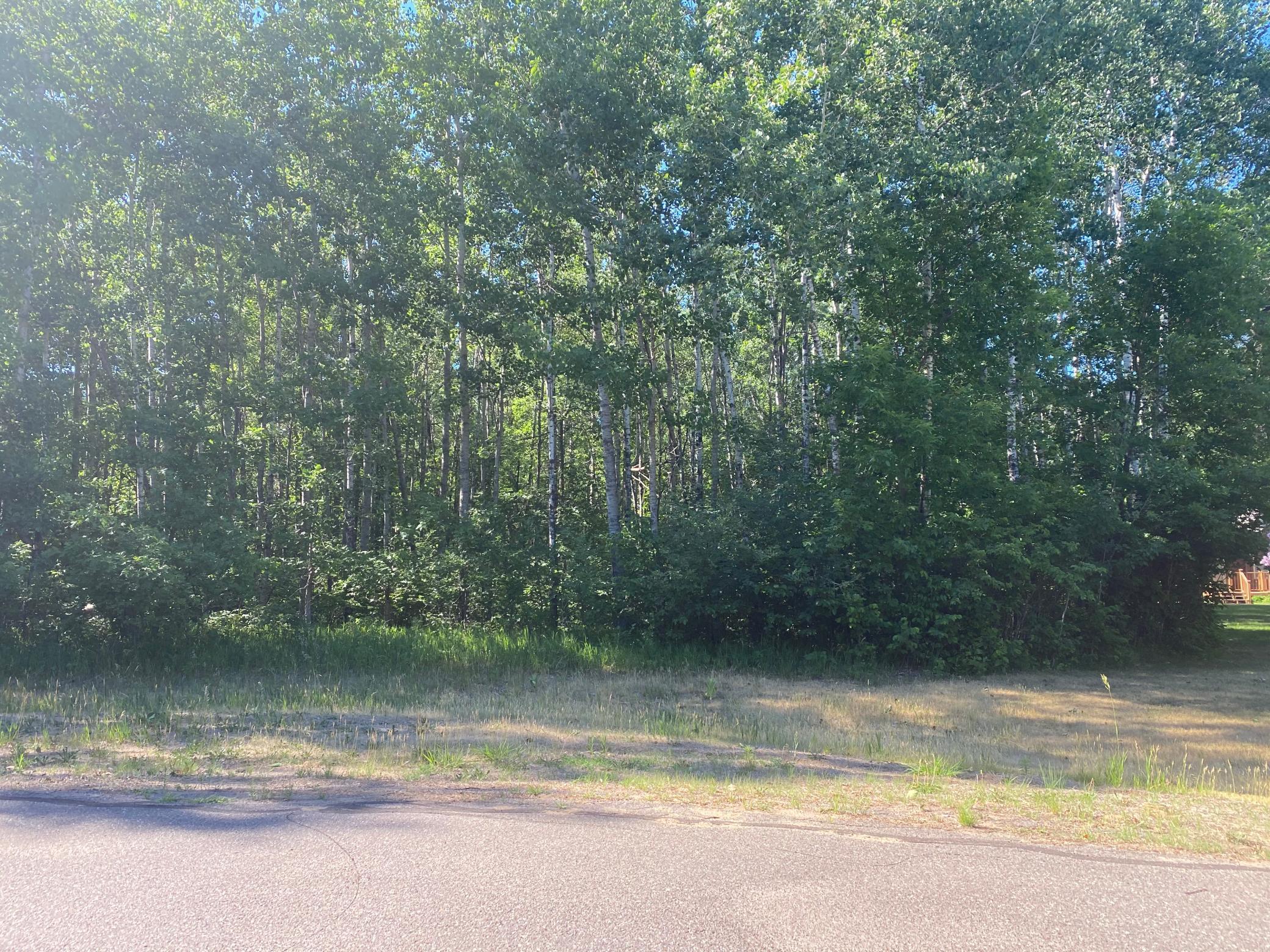 Lot 6 Home Place Drive Crow Wing Twp MN 56401 5730487 image1