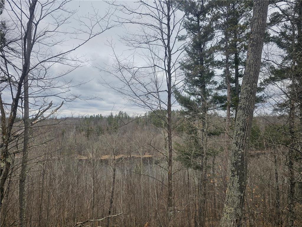 Lot 6 Kelly Lane Danbury WI 54830 - St Croix River 6700093 image1
