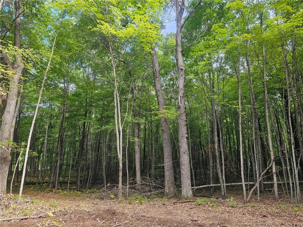 Lot 6 Ken Can Lane Jackson Twp WI 54893 6785373 image5