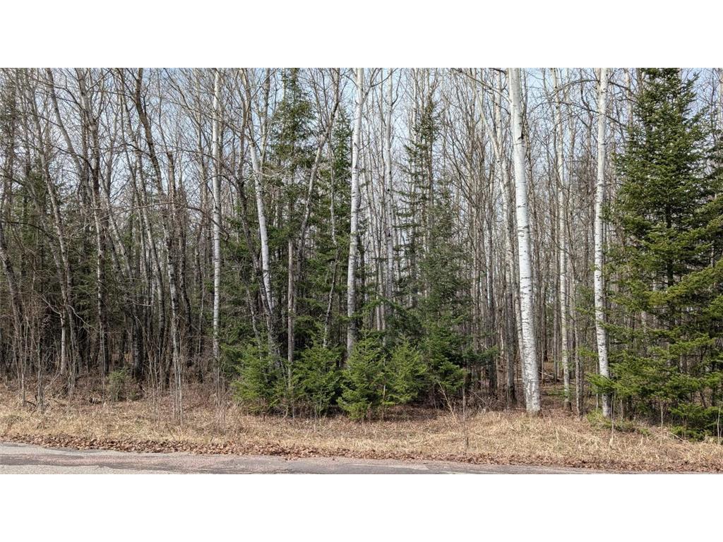 Lot 6 Lund Road Cook MN 55723 7072832 image5