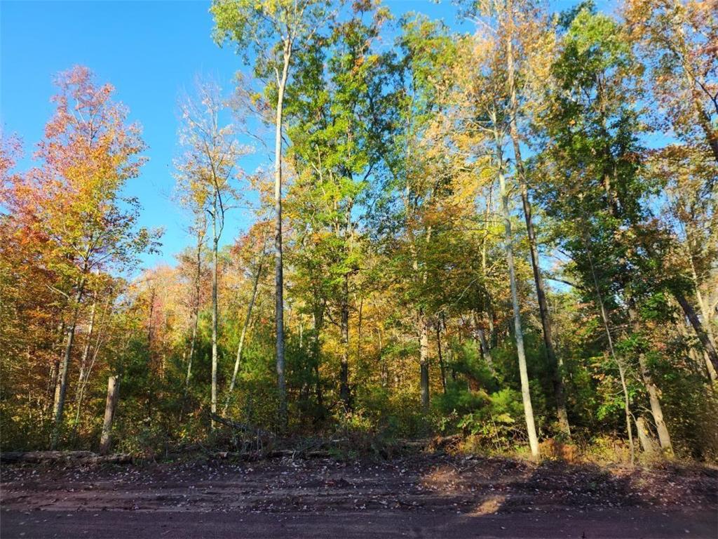 Lot 6 Maria's Way Webster WI 54893 6437909 image1