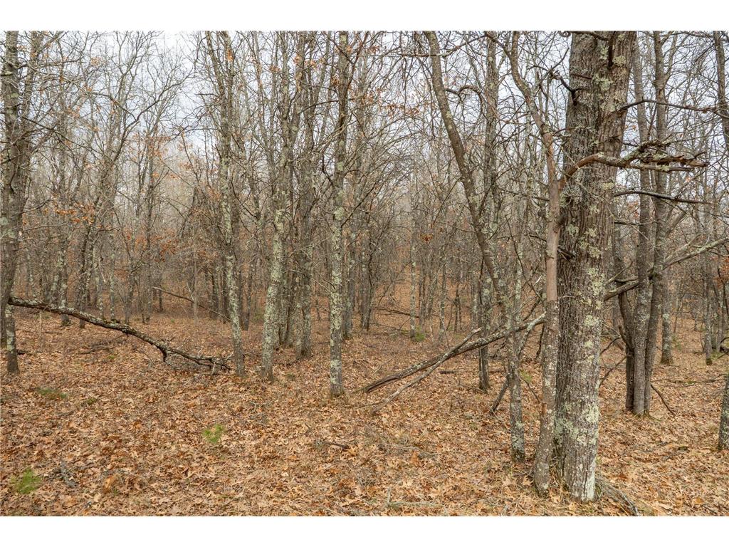 Lot 6 S Madison Avenue Wascott WI 54838 7047558 image6