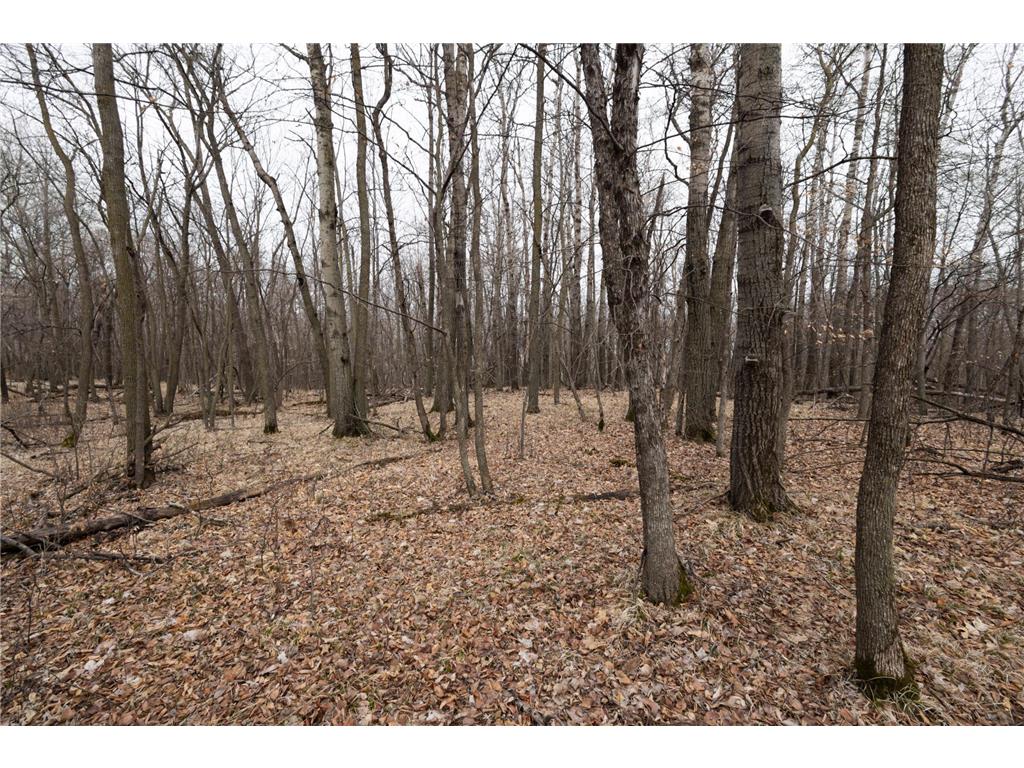 Lot 6 Saylers Beach Road Lake Park MN 56554 7052800 image4