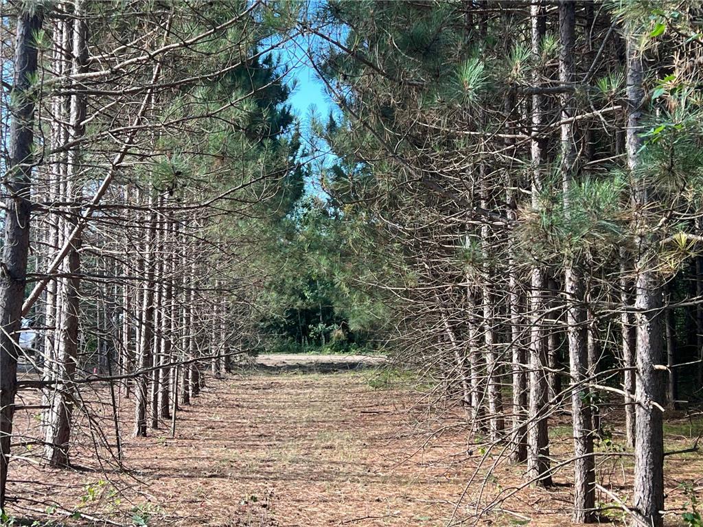 Lot 6 See Gull Cove Brainerd MN 56401 7039591 image36