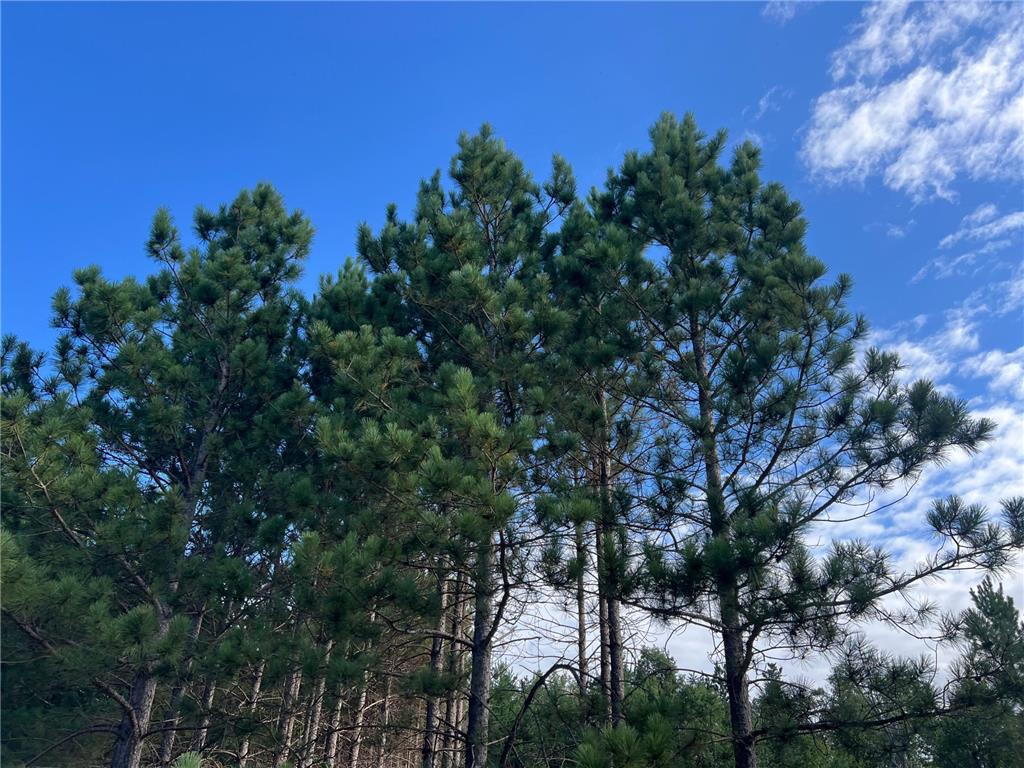 Lot 6 See Gull Cove Brainerd MN 56401 7039591 image37