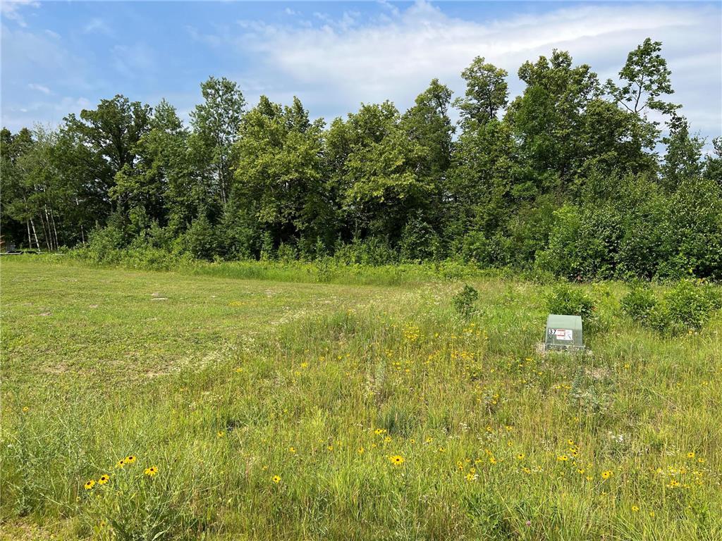 Lot 6 Tango Drive Helga Twp MN 56601 - Plantagenet 6397479 image1